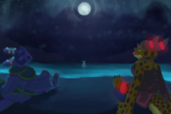 On The Beach At Night